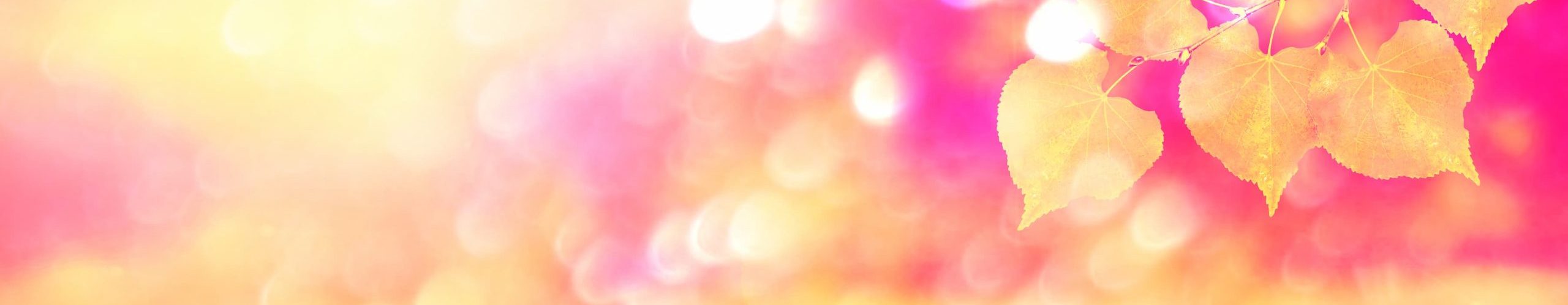 Body Alignment Pilates